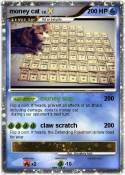 money cat