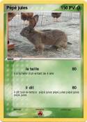 Pépé jules