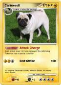 Caninevolt