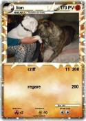 lion