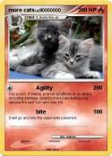 more cats