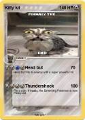 Kitty kit