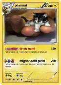 pilamimi