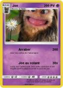 Joe