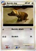 Burreto dog
