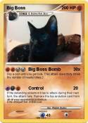 Big Boss