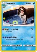 dogwater