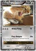 Crazy Cat