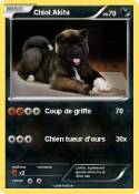 Chiot Akita