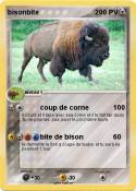 bisonbite