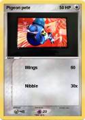 Pigeon pete