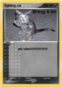 fighting cat