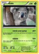 koala