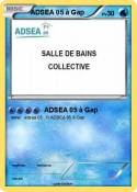 ADSEA 05 à Gap