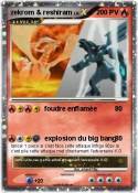 zekrom & reshir