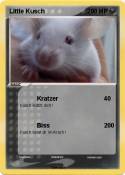 Little Kusch