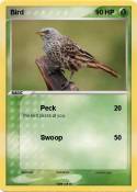 Bird