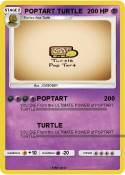 POPTART TURTLE
