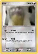 Birb