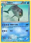 dolphin