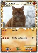 Chat roux