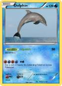 Dolphin