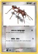 ant