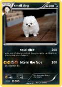 small dog