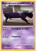 dogue allemand