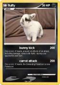 Mr fluffy