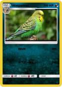 Wietparkiet