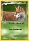 renard voleur