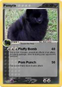 Pomyrie