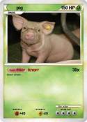 pig