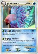 pic de la mort