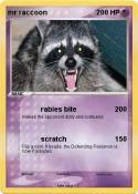 mr raccoon
