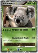 koalataque