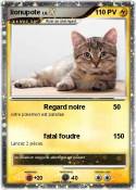lionupote