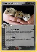 triple gerbil