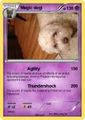 Magic dog!