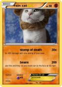 rain cat