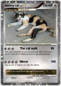 skinny cat