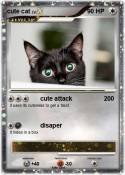 cute cat