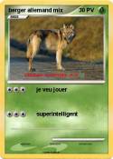 berger allemand