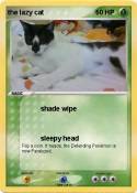 the lazy cat