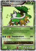 torterra