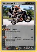 vache motard