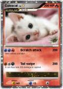 Cuteacat
