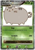 pusheen