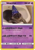 Wizard Cat